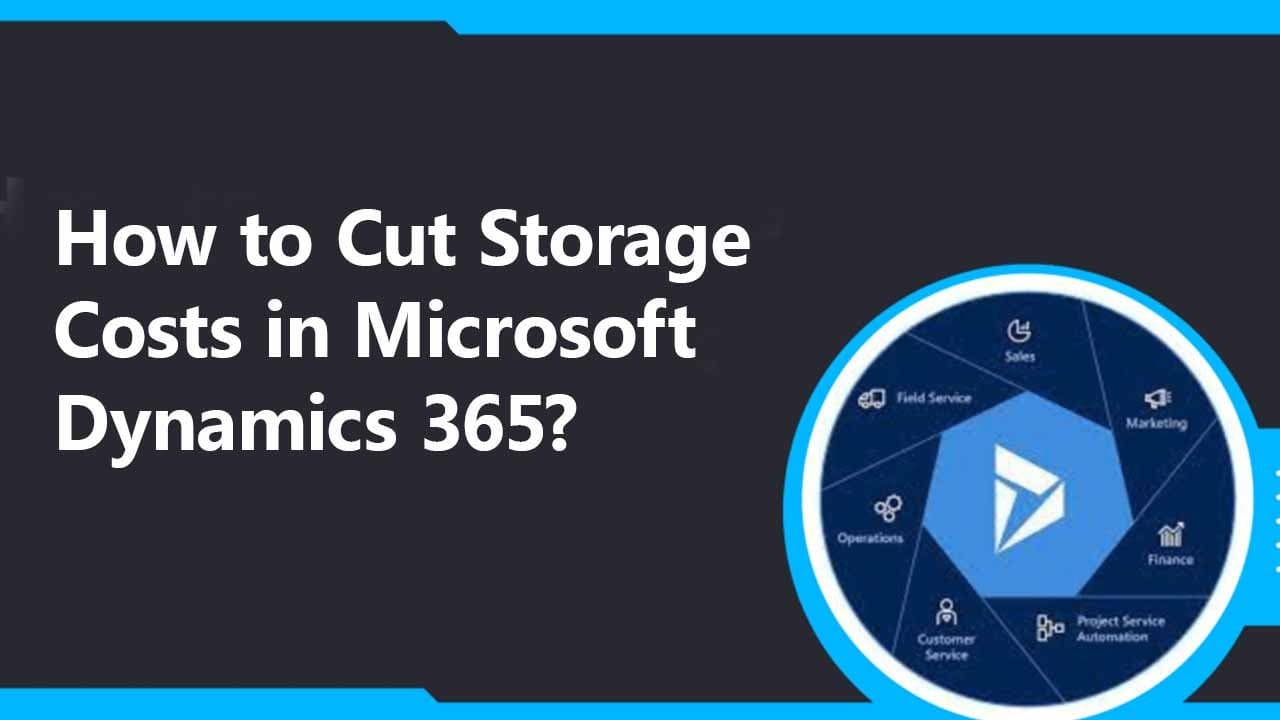 How to Cut Storage Costs in Microsoft Dynamics 365?